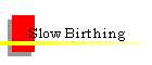 Slow Birthing