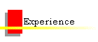 Experience