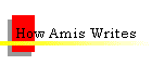 How Amis Writes